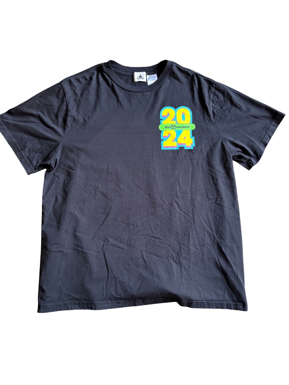Disney Black Short-Sleeve Tee with 2024 Chest Graphic